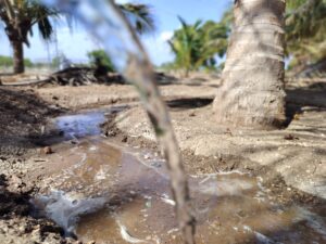 Irrigation technologies