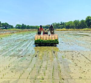 Transplanting mechanization