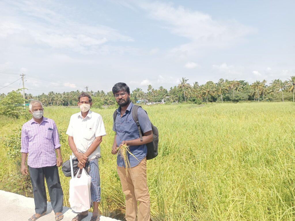 Pokkali Farmers - Ernakulam