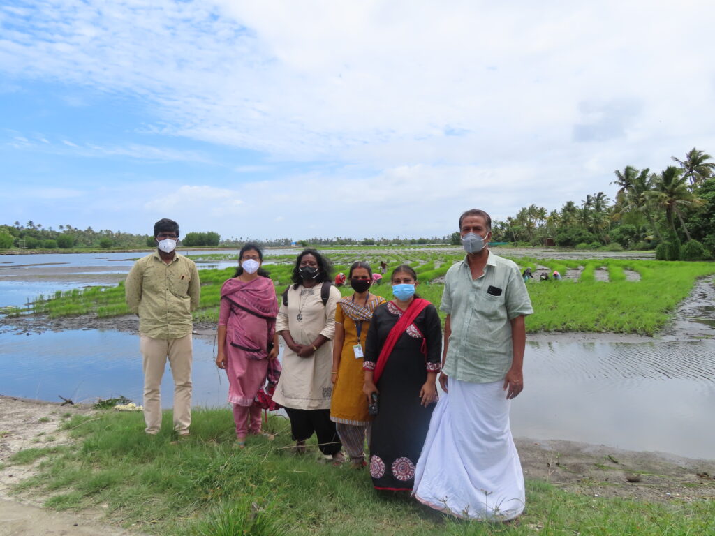 Pokkali Field visit