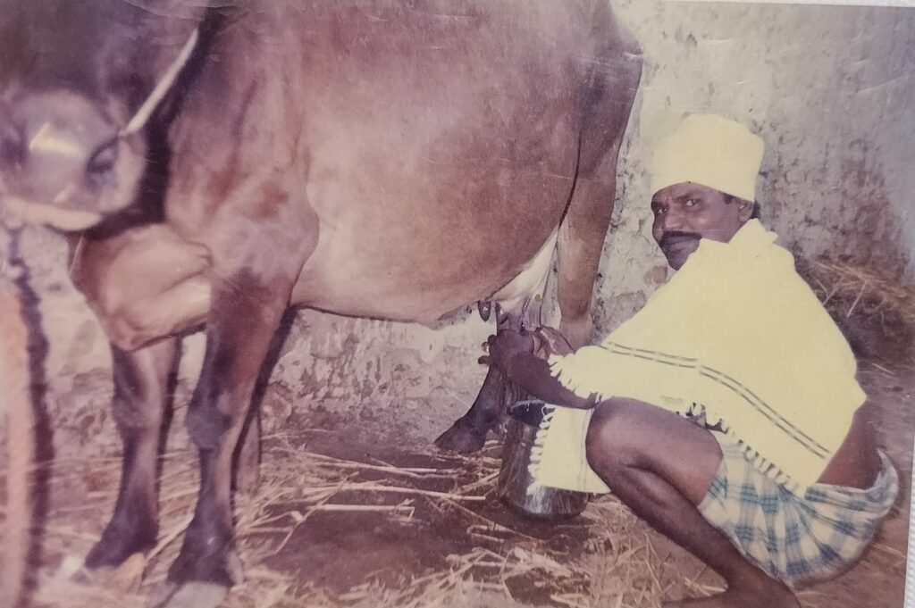 Dairy farming