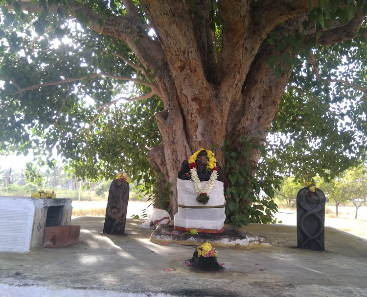Arasamarathu pillayar (Old)