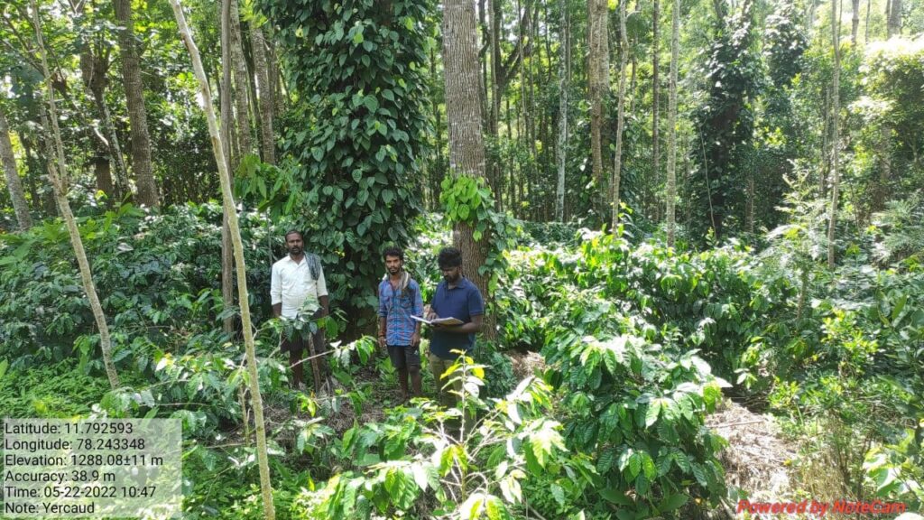 Yercaud, Salem - TN