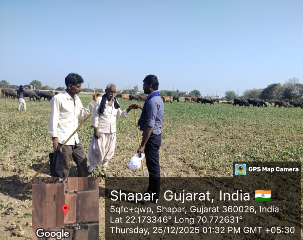 Shaper, Gujarat